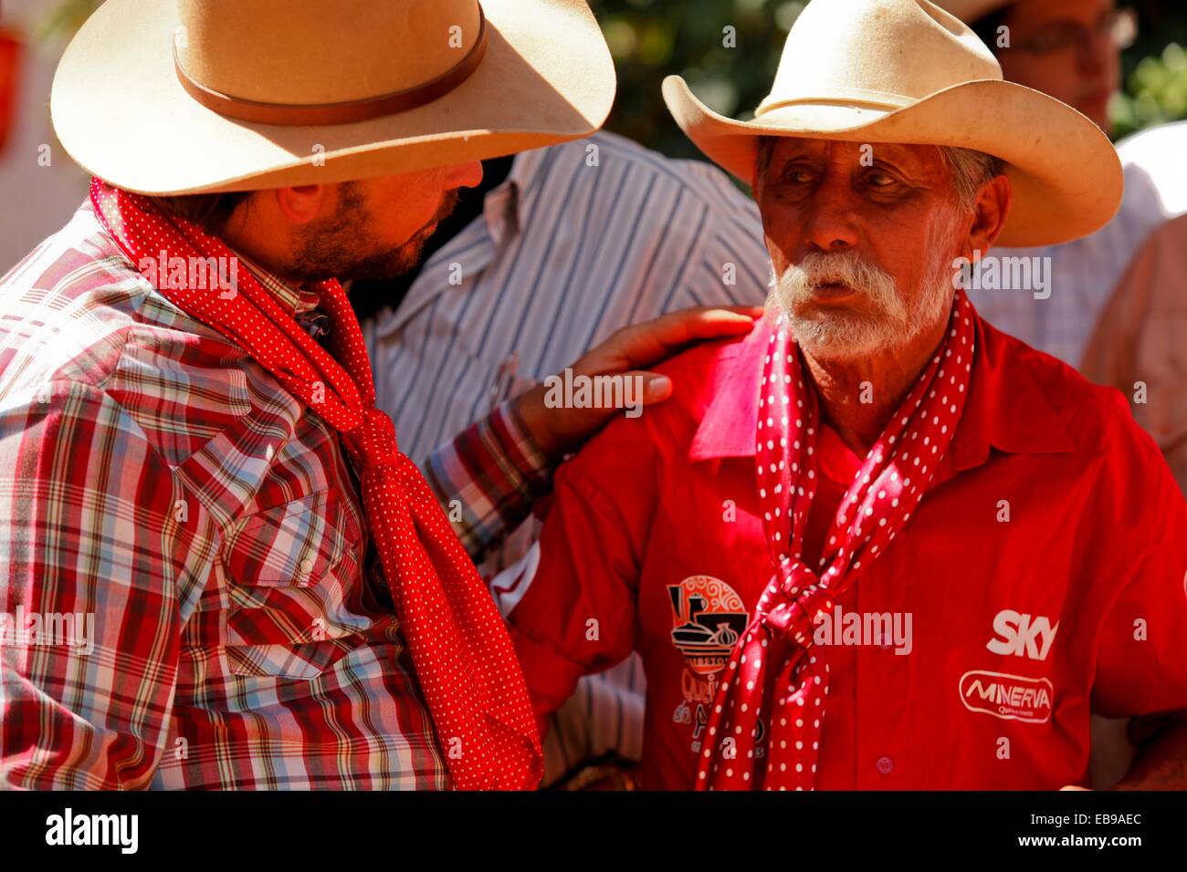 102 fotografias e imagens de Festa Do Peão De Boiadeiro - Getty Images