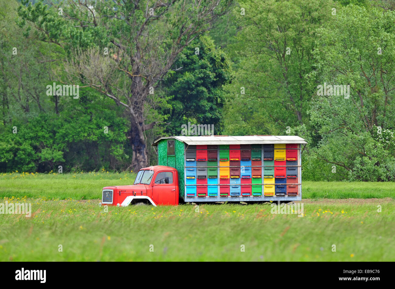 Mobile apiary Stock Photo