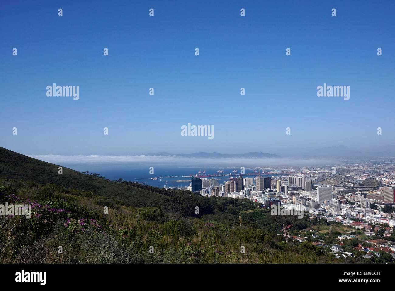 The view of Cape Town central business district  and harbour as seen from Signal Hill, Cape Town, South Africa. Stock Photo