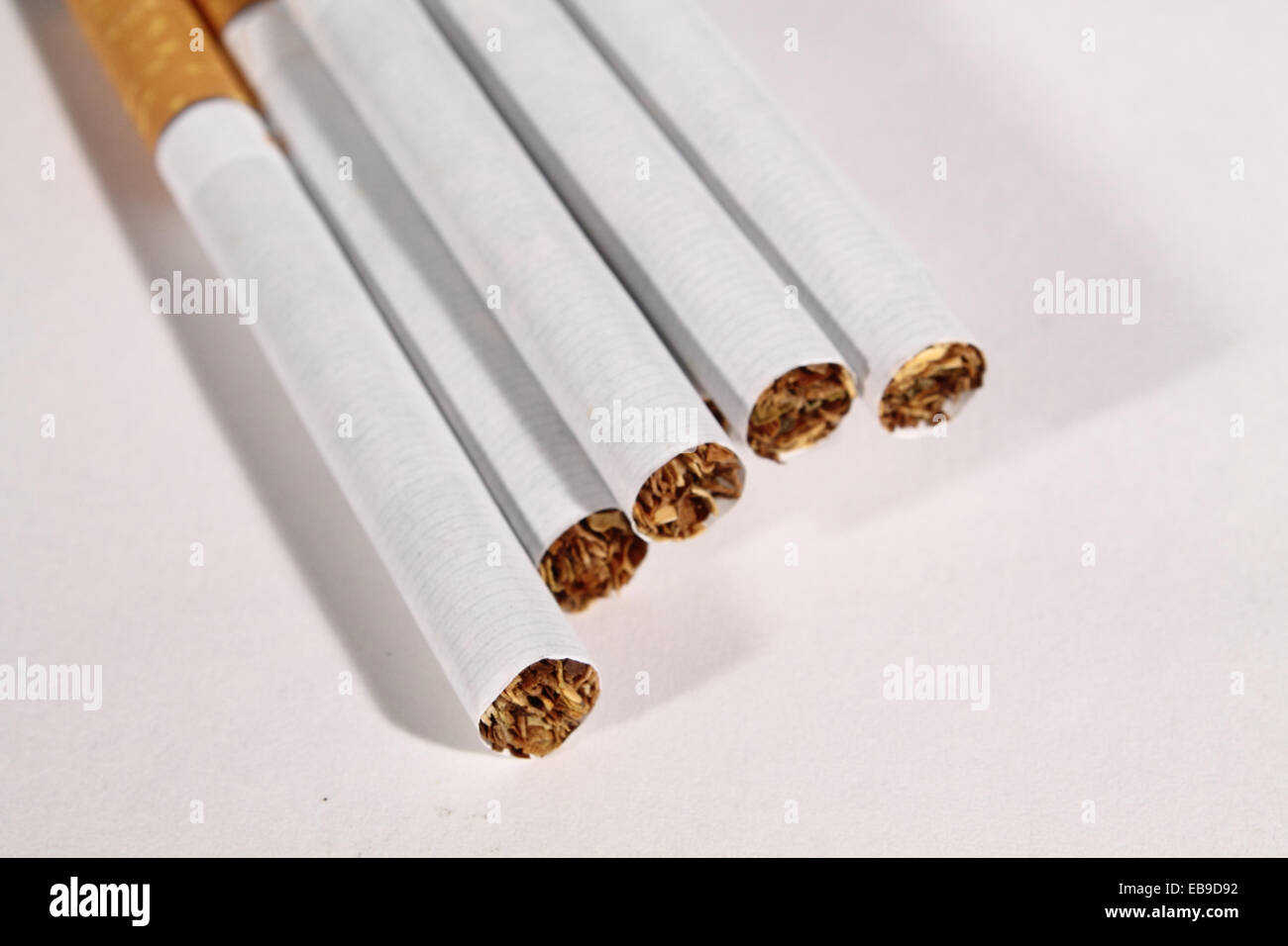 cigarettes after sex apocalypse lyrics The brilliance of Cigarettes after sex lyrics | by Divyansh Chanana