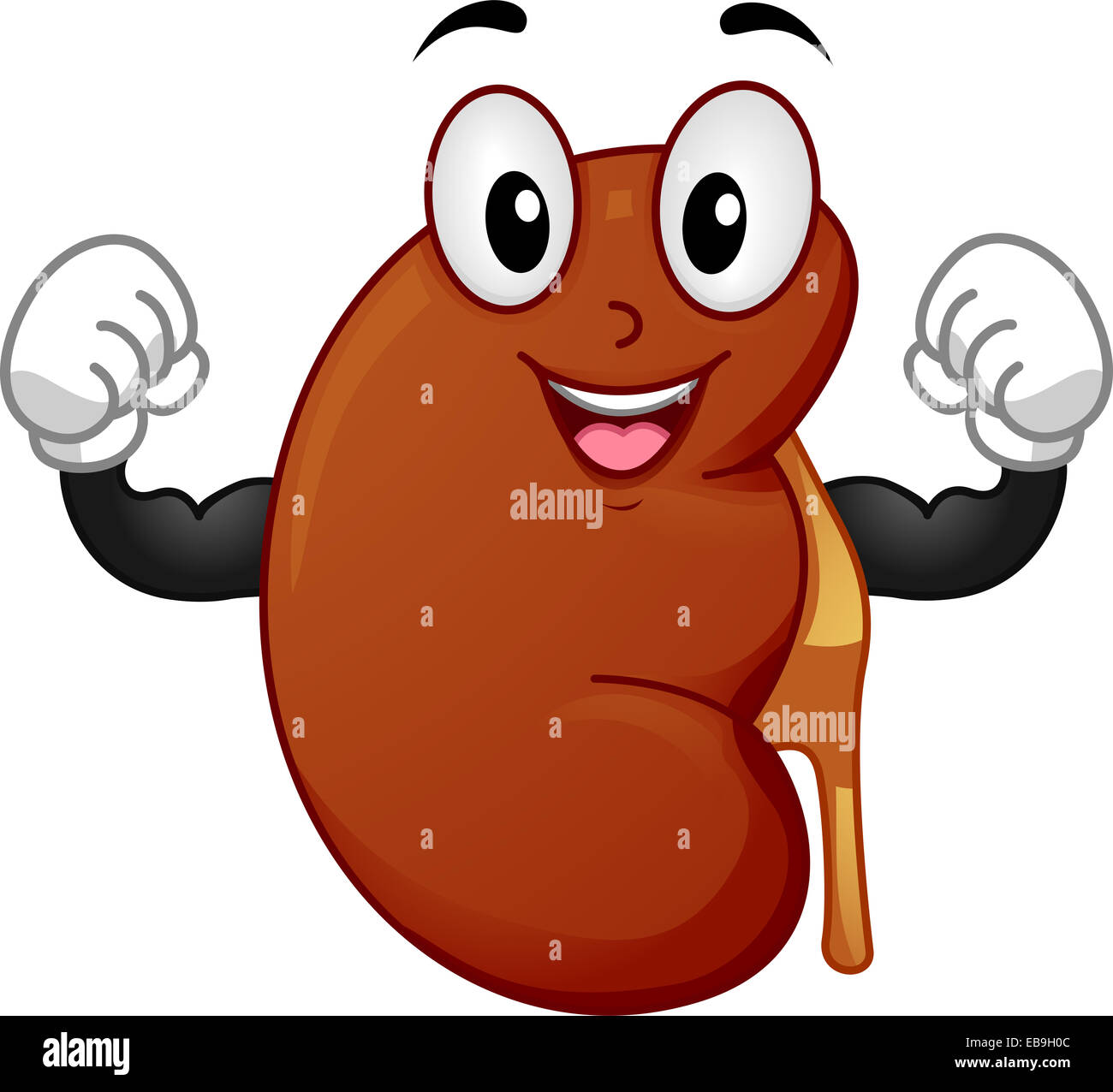 Mascot Illustration Featuring a Strong Kidney Flexing its Muscles Stock Photo