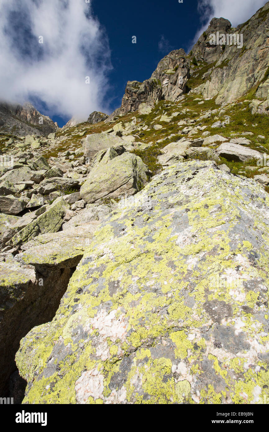 lichen covered granite boulders in the Val D' Arpette in the Swiss Alps. Stock Photo