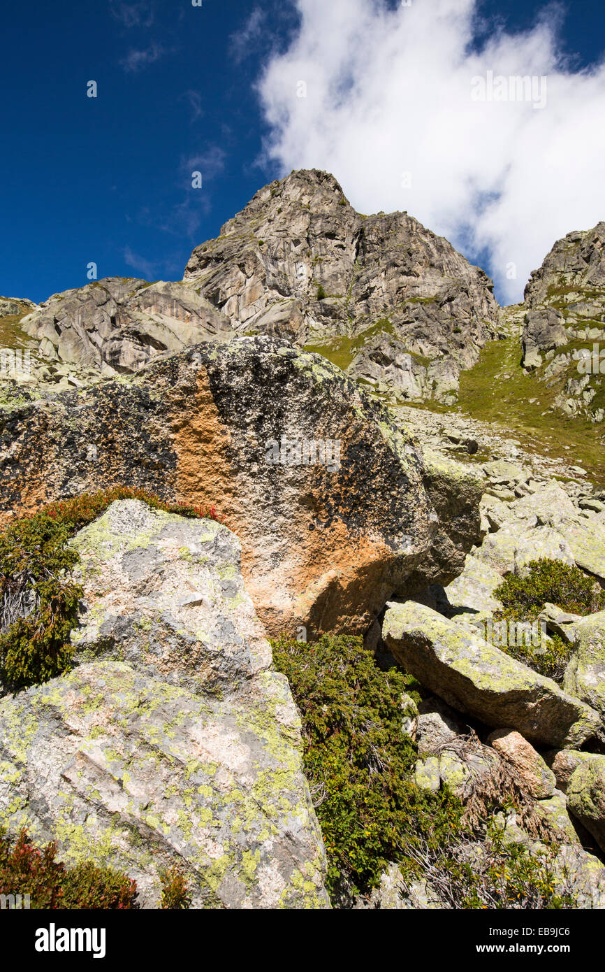 Lichen covered granite boulders in the Val D' Arpette in the Swiss Alps. Stock Photo