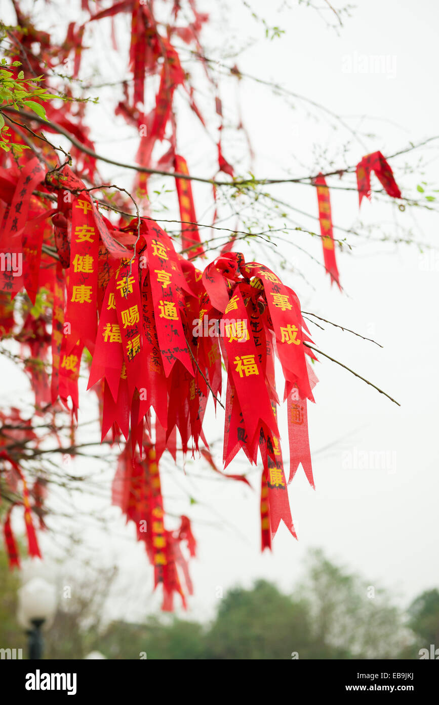 lots of wishing ribbon hanging on blessing tree Stock Photo