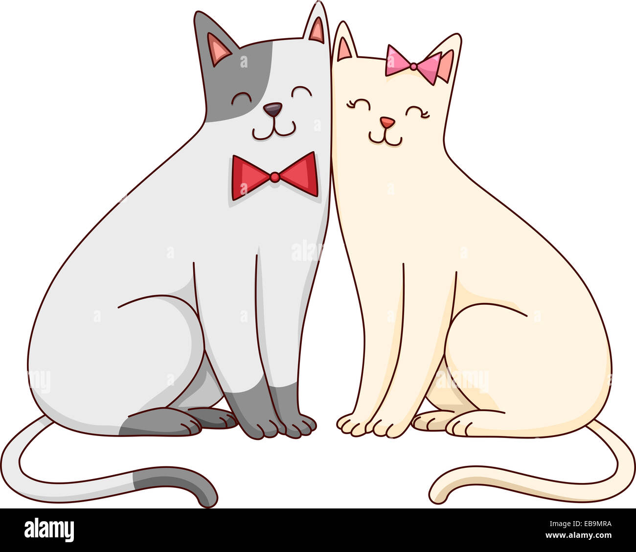 Котики пара на белом фоне