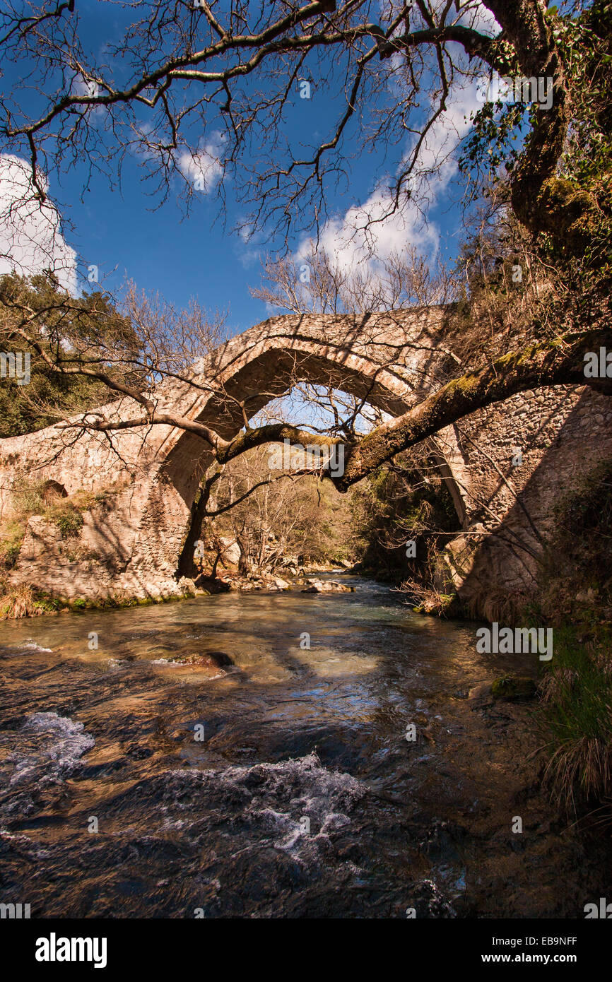 Atsiholos bridge over Lousios river. Karytena, Arcadia, Peloponnese, Greece Stock Photo