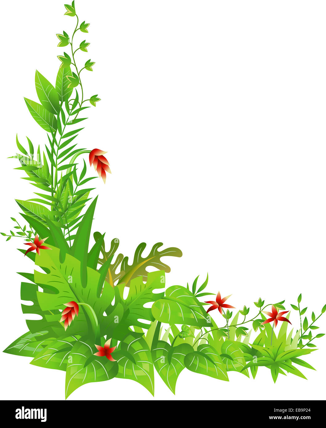 Corner Border Illustration Featuring Jungle Plants Stock Photo