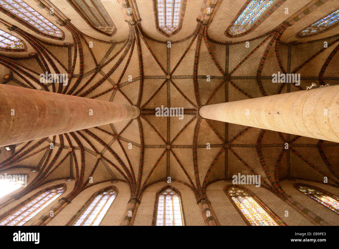 Ribbed Gothic or Romanesque Ceiling of the Church of the Jacobins, Jacobins Church or Monastery (1230) Toulouse France Stock Photo