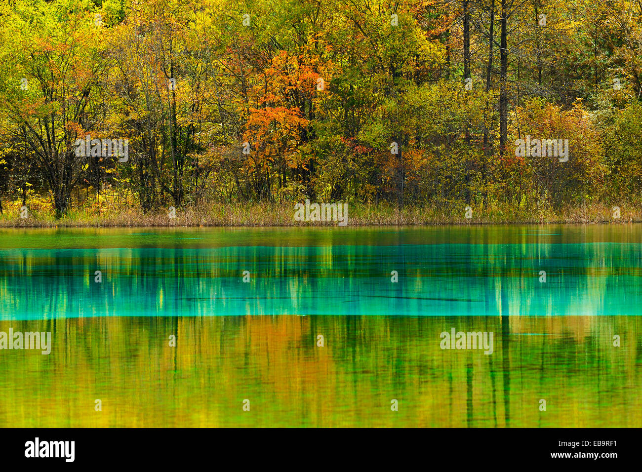 Five Flower Lake in autumnal environment, Jiuzhaigou National Park, UNESCO World Heritage Site, Sichuan Province, China Stock Photo