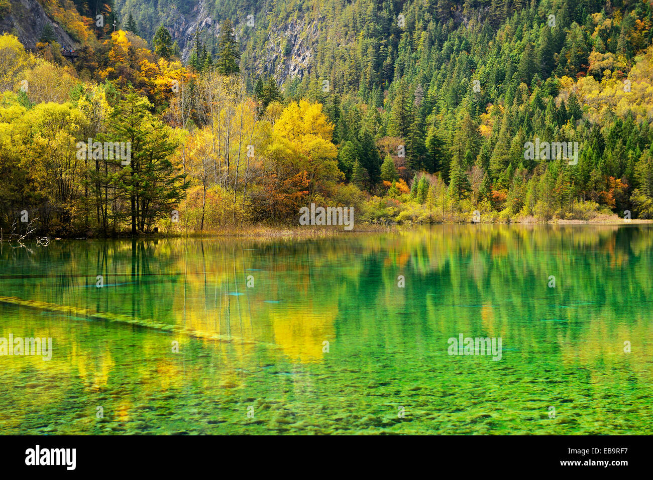 Five Flower Lake in autumnal environment, Jiuzhaigou National Park, UNESCO World Heritage Site, Sichuan Province, China Stock Photo