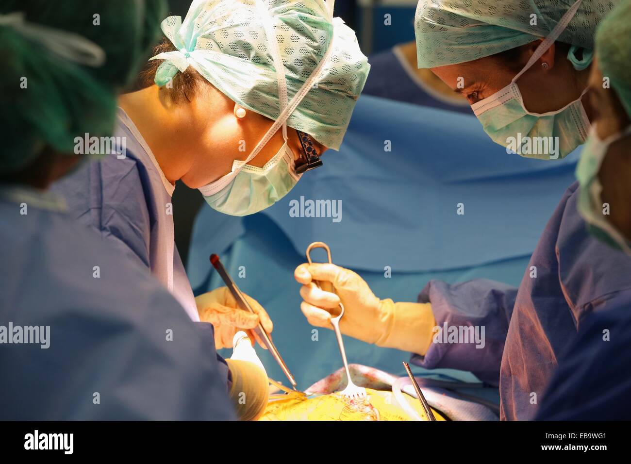 Hip replacement surgery, Orthopedics and Trauma surgery, Surgeon