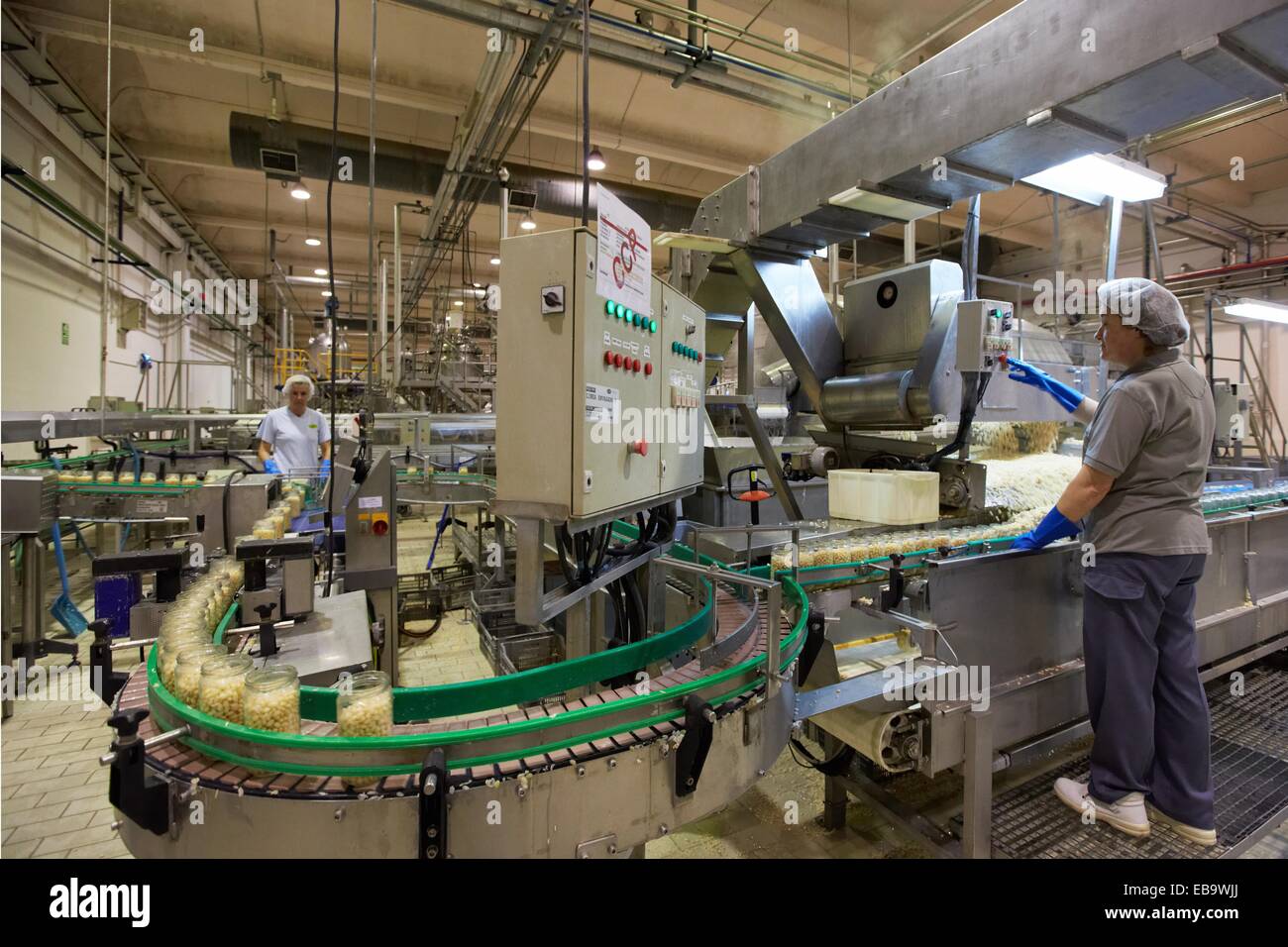 adult agri automate bean bottling canned cannery canning cap center