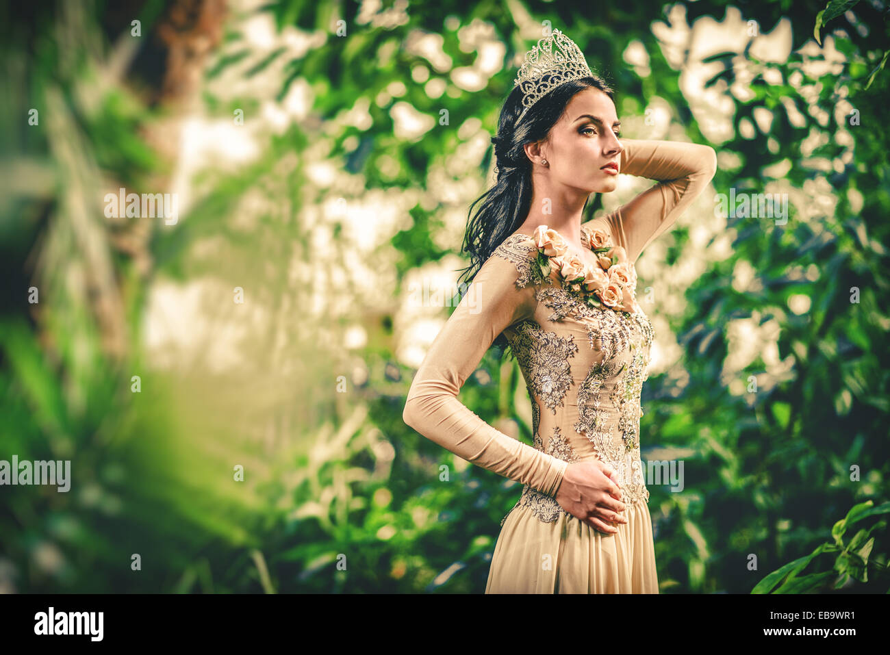 Gorgeous lady in evening dress and with tiara on a head posing in a ...