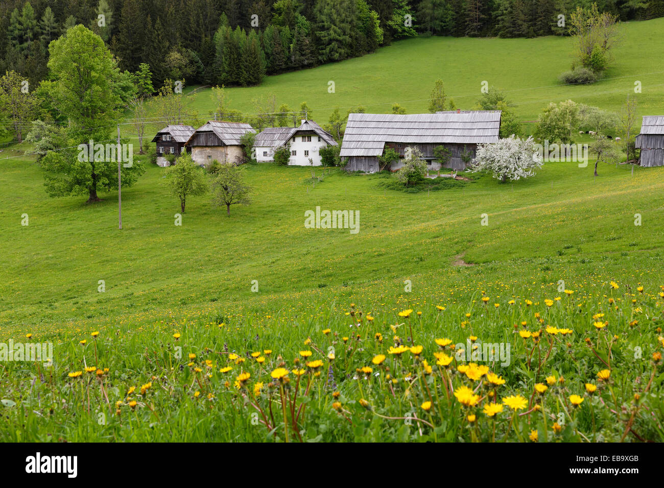Traditional Austrian farmhouses, Schaidasattel pass, Karawanks, Zell-Schaida, Carinthia, Austria Stock Photo