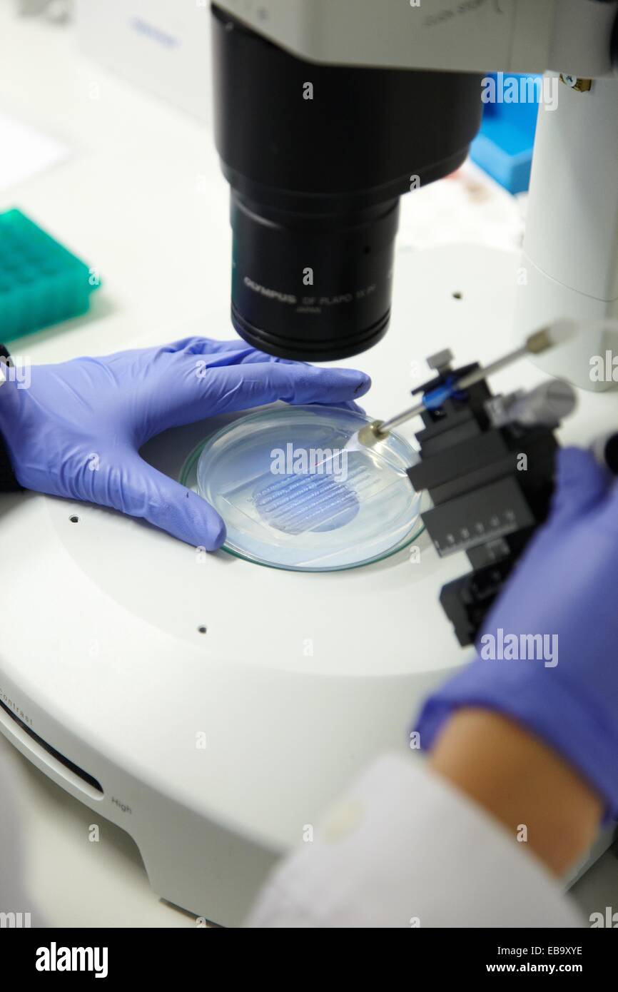 adult assay Basque Country biocide biology biotechnology capability certified closeup color