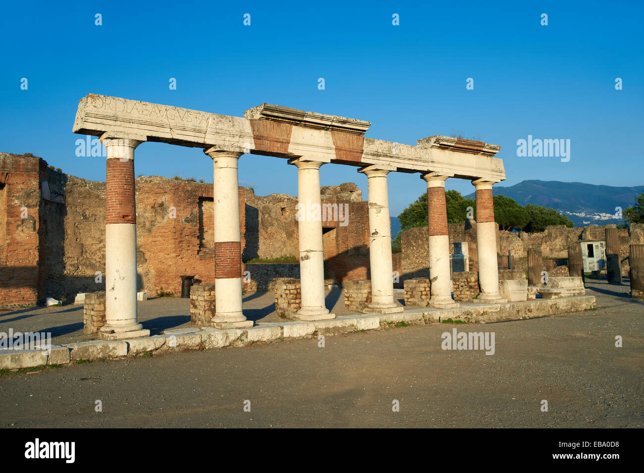 The Roman columns of the Building of Eumachia, Pompeji, Campania, Italy Stock Photo