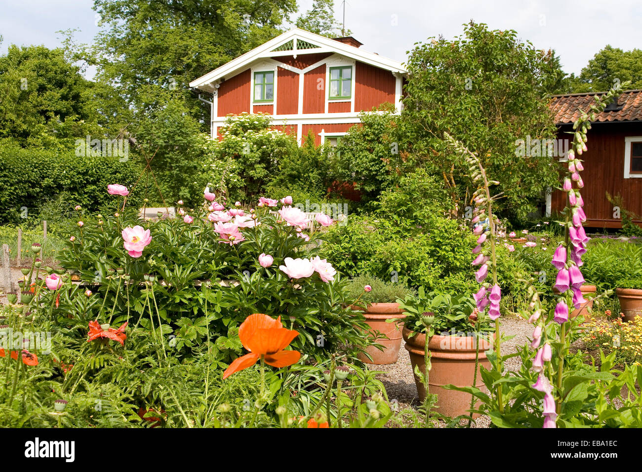Cottage garden, Skansen Open-Air Museum, Djurgården, Stockholm, Sweden Stock Photo