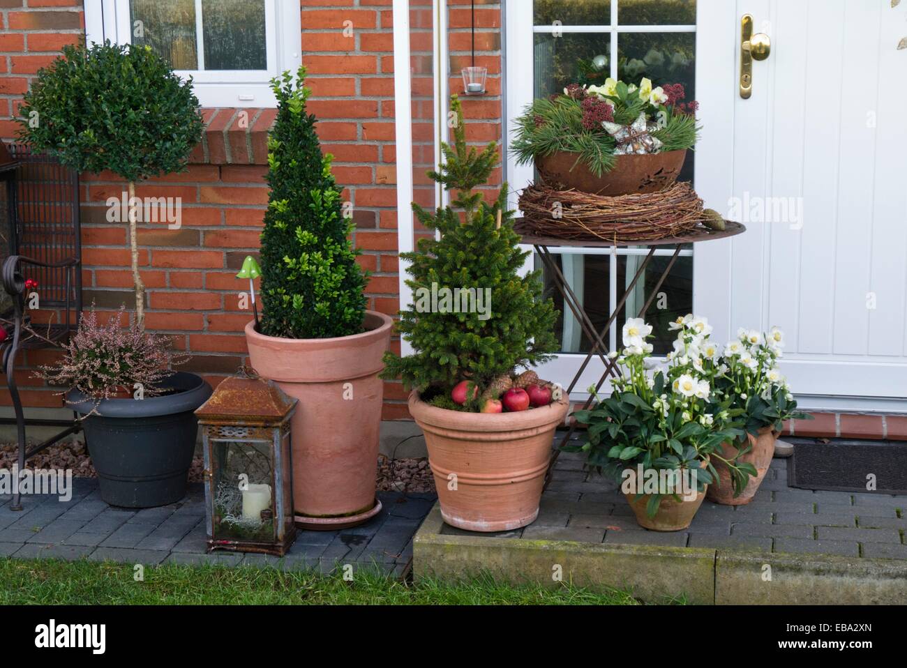 Front garden with container plants and Christmas decoration Stock Photo