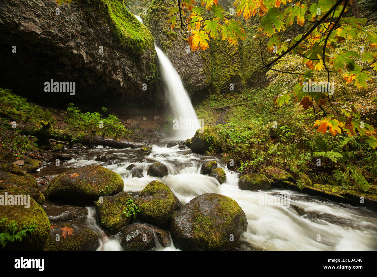 Ponytail Falls, Columbia River Gorge, Portland, Oregon, United States Stock Photo