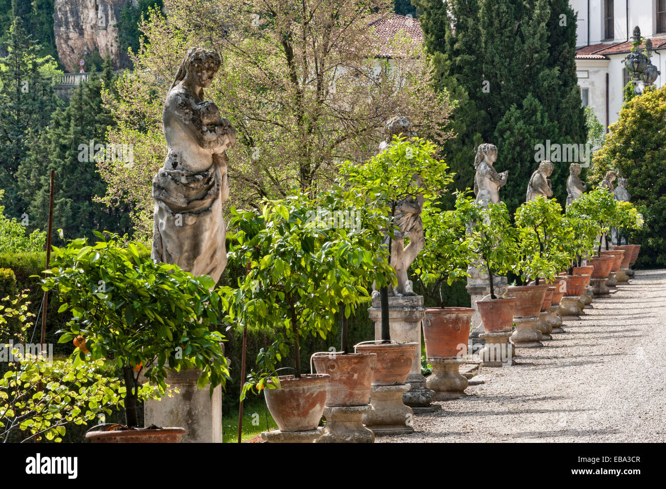 18c statues and lemon trees in pots line a terrace at the romantic gardens of Villa Trissino Marzotto, Vicenza, Veneto, Italy Stock Photo