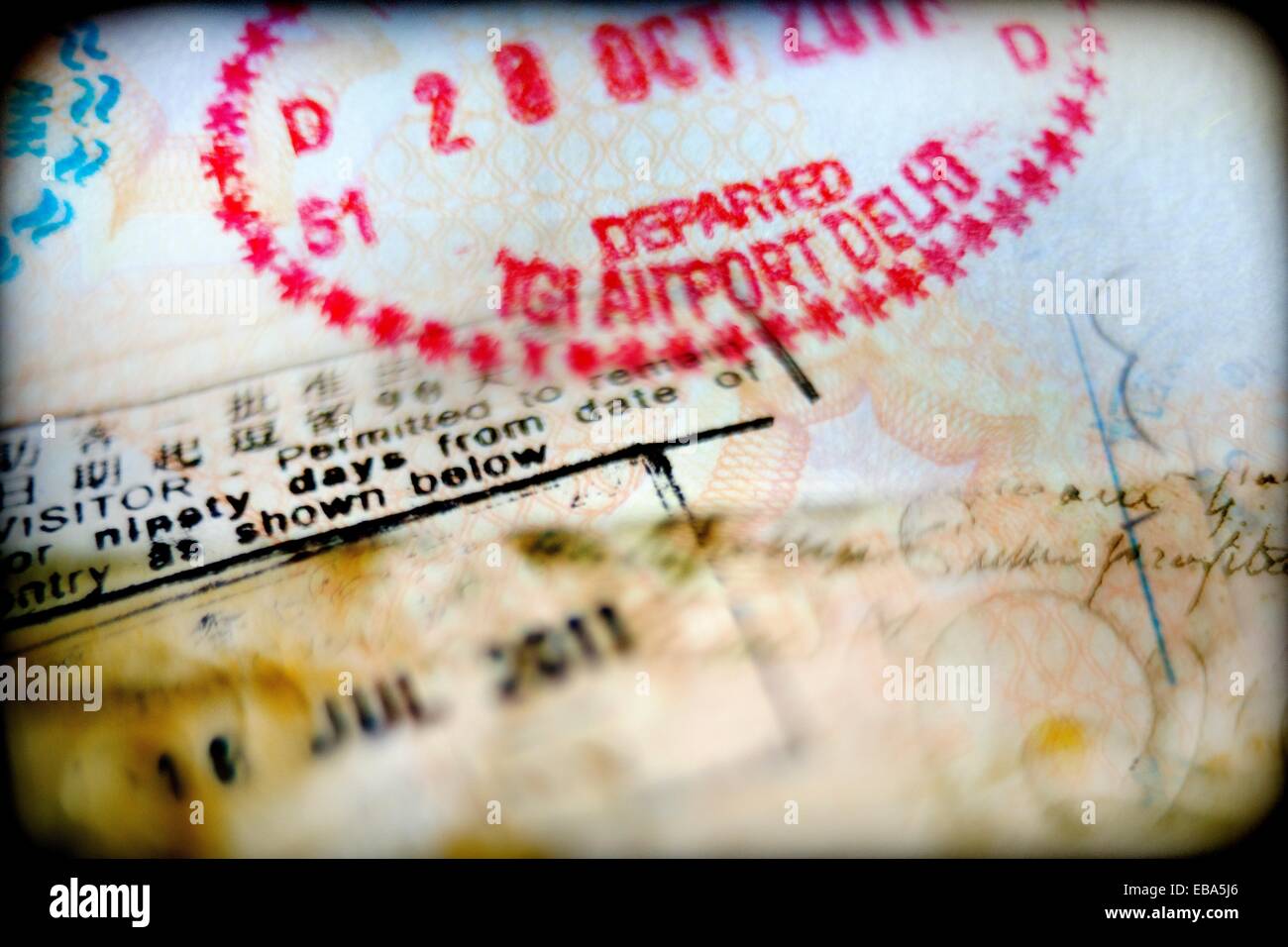 PASAPORTE OFICIAL IN ENGLISH intelligence overview