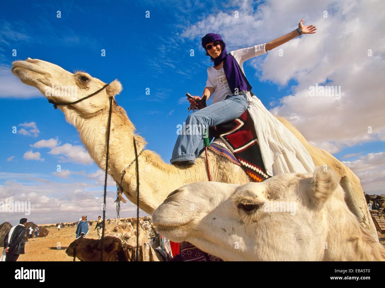 Camel rider International Festival of the Sahara Douz Southern Tunisia ...