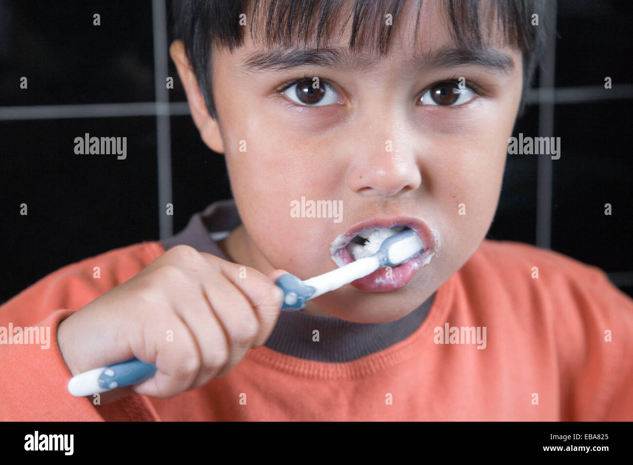 Little boy brushing his teeth, Stock Photo