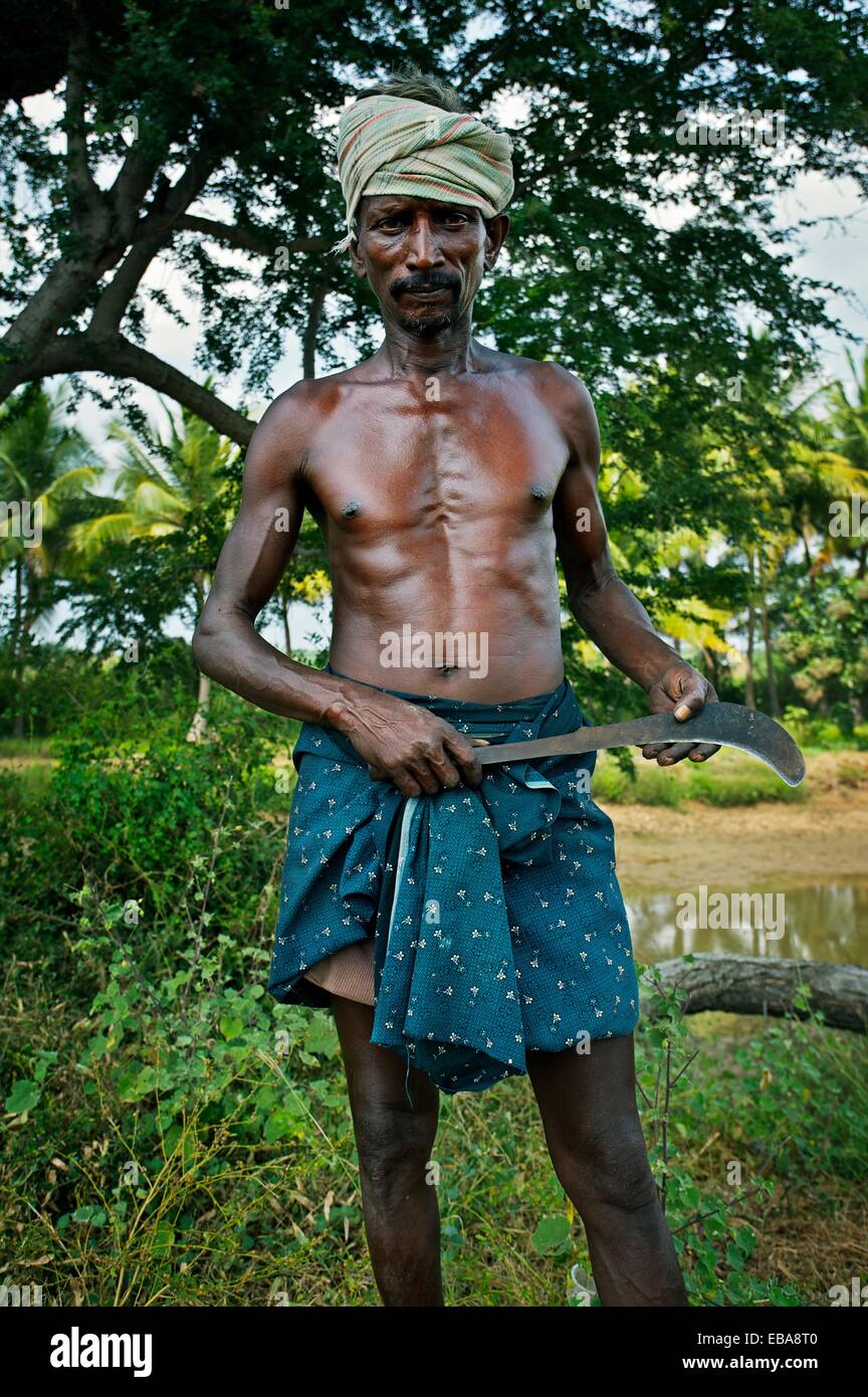 Farmer, Madurai, Tamil Nadu, India Stock Photo Alamy