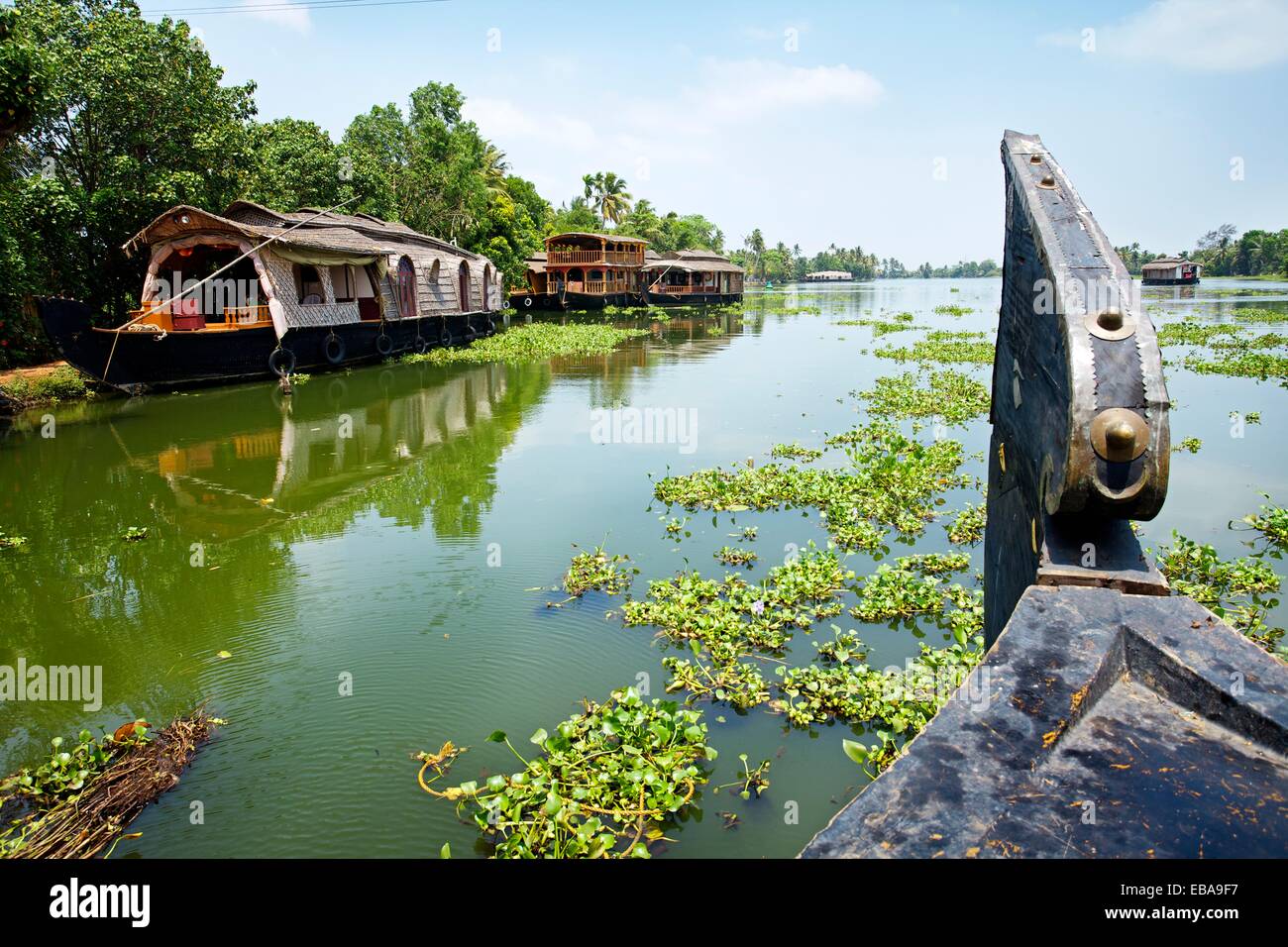 House boat, Backwaters, Alleppey, Kerala, India Stock Photo - Alamy