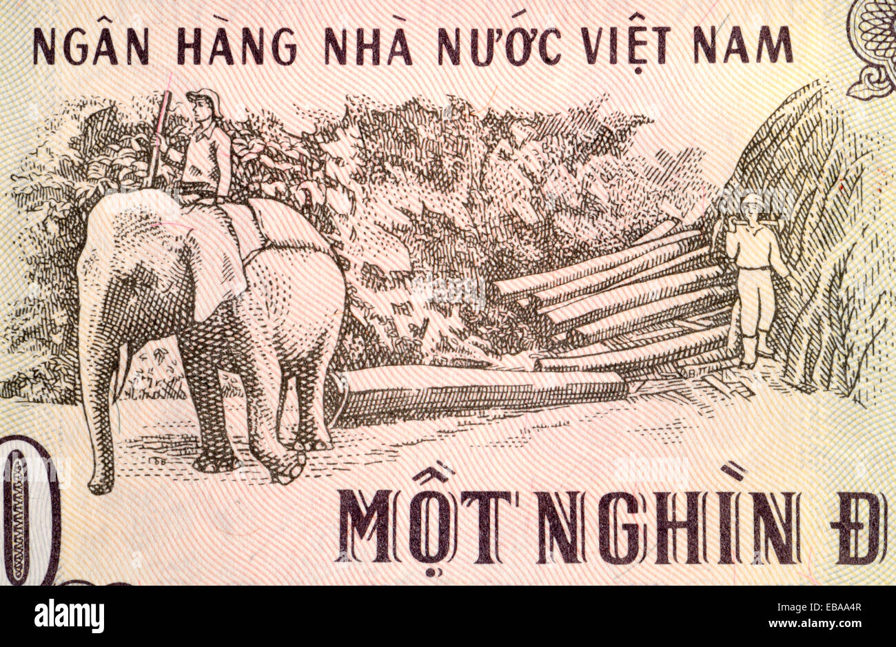 Detail from a Vietnamese banknote showing an Elephant pulling logs Stock Photo