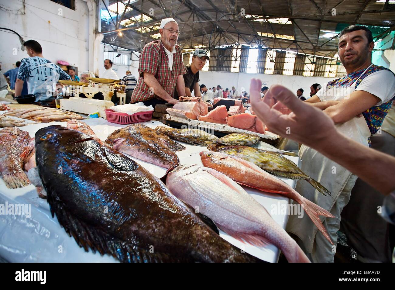 Fish Market Tangier Morocco Stock Photo Alamy