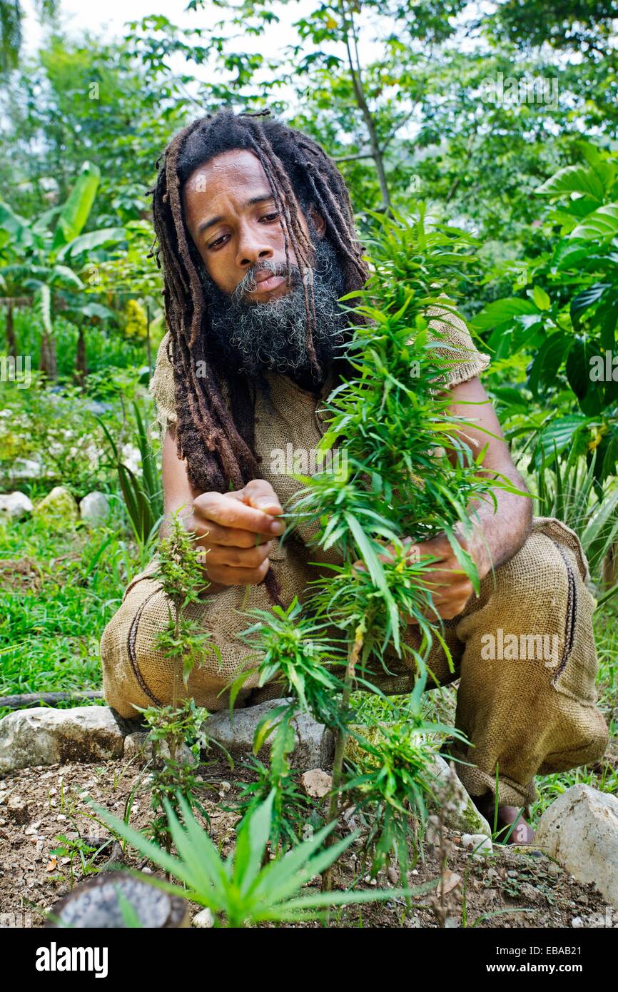 Rastafarian village, Montego Bay, Jamaica, West Indies, Caribbean