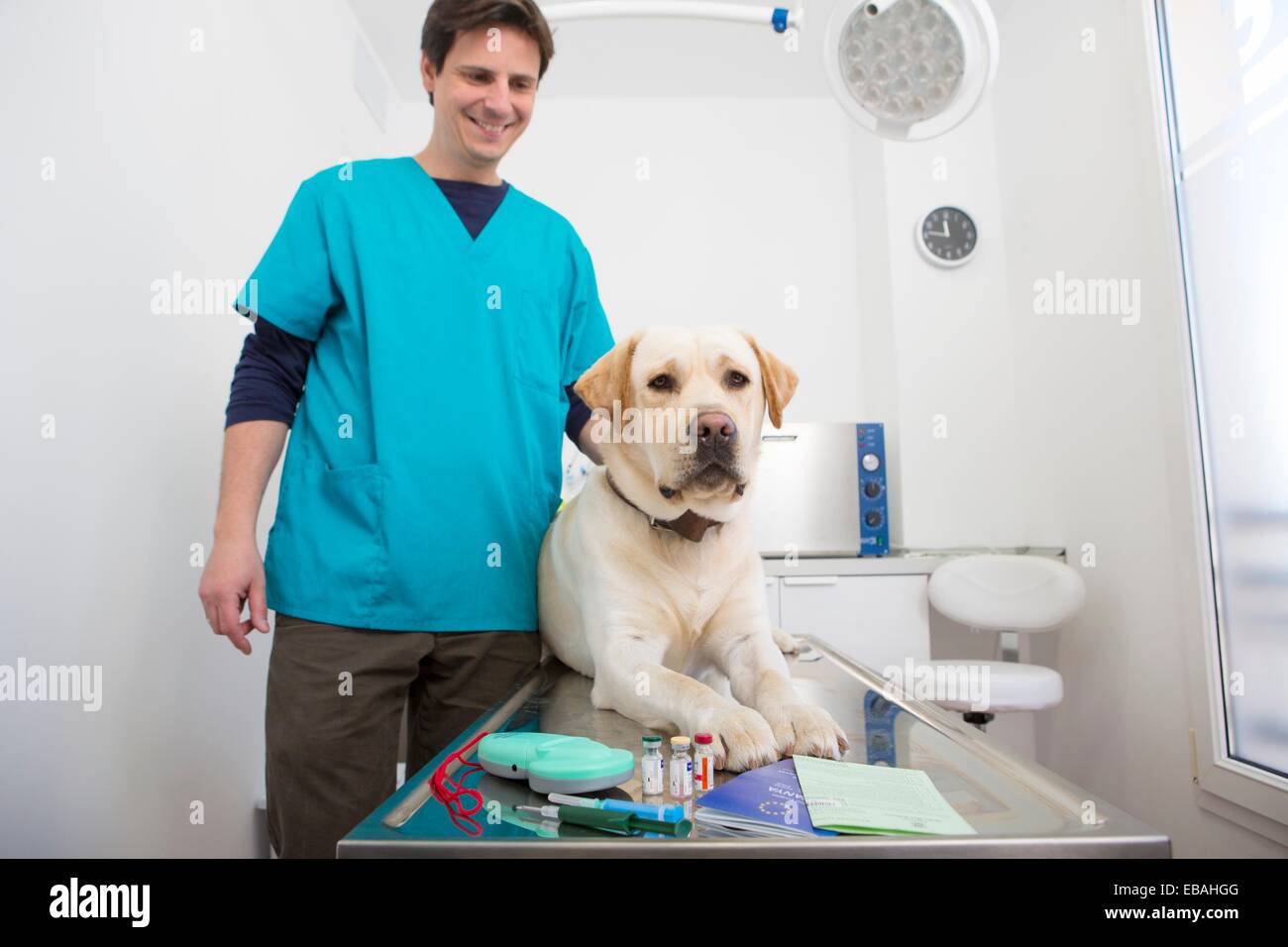 Microchip implant & scanner, rabies vaccination and European Pet