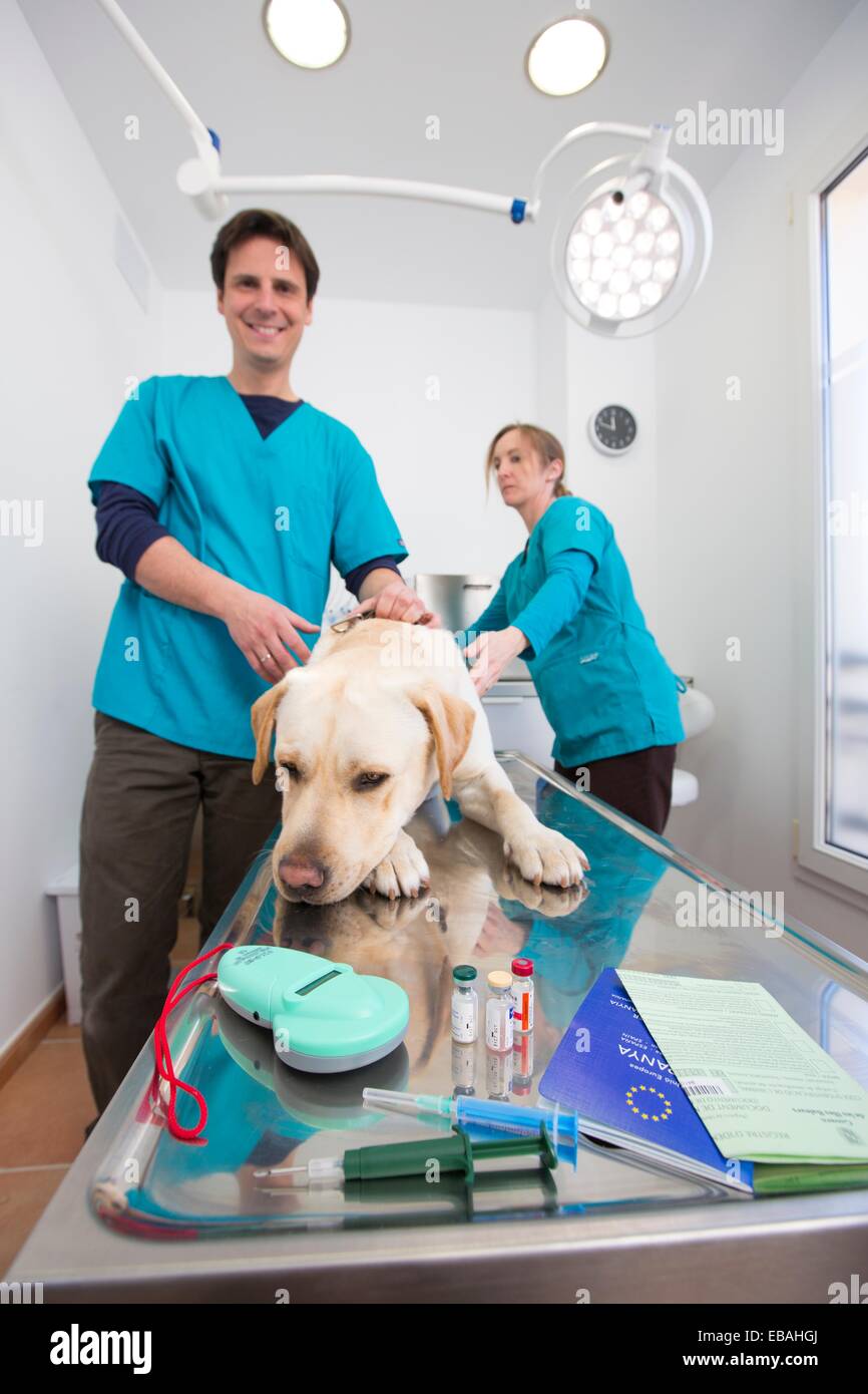 Microchip implant & reader, rabies vaccination and European Pet