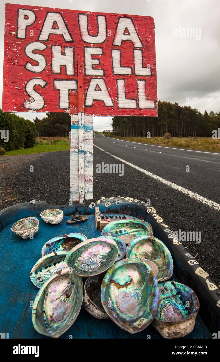 Paua shell stall beside road, Otago Peninsula Stock Photo