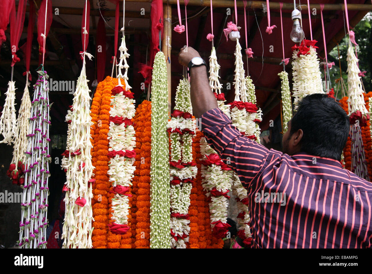 Bangladesh Flower High Resolution Stock Photography and Images Alamy