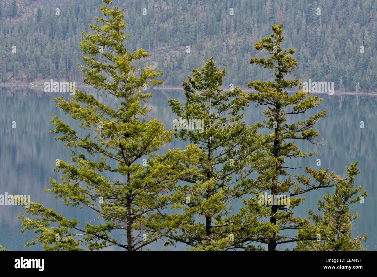 Kalamalka Lake at spring breakup Vernon BC Canada Stock Photo Alamy