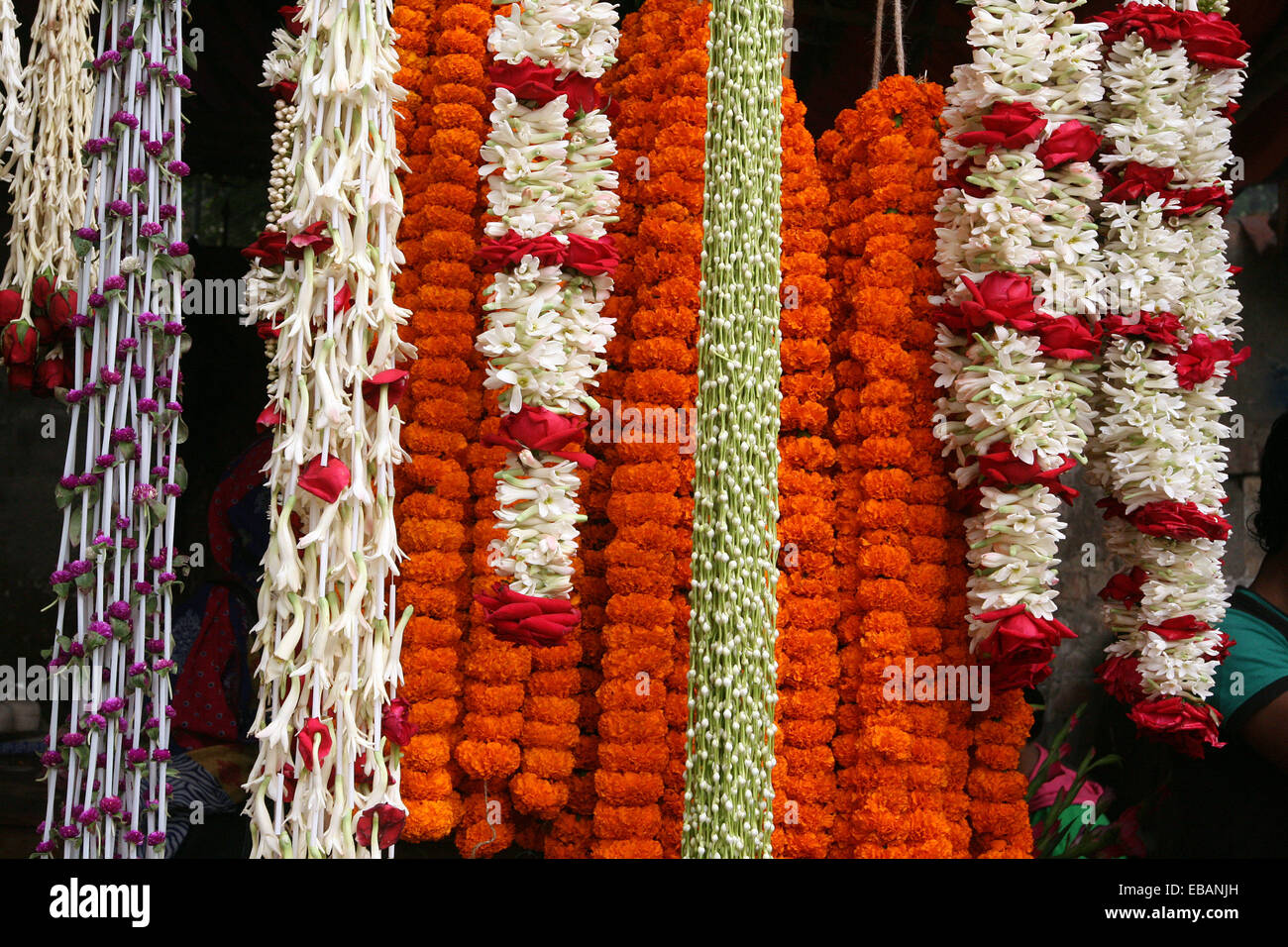 Colorful flower in dhaka Stock Photo - Alamy