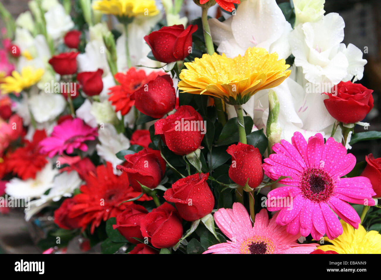 Colorful flower in dhaka Stock Photo Alamy