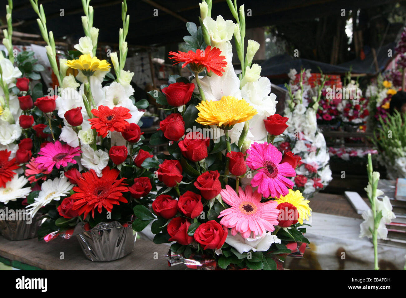 Colorful flower in dhaka Stock Photo Alamy