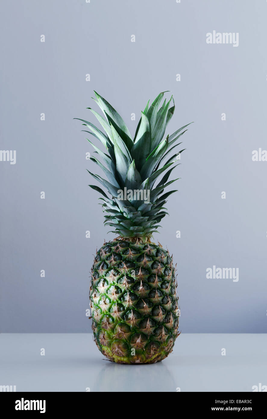 Single pineapple on bluish background Stock Photo