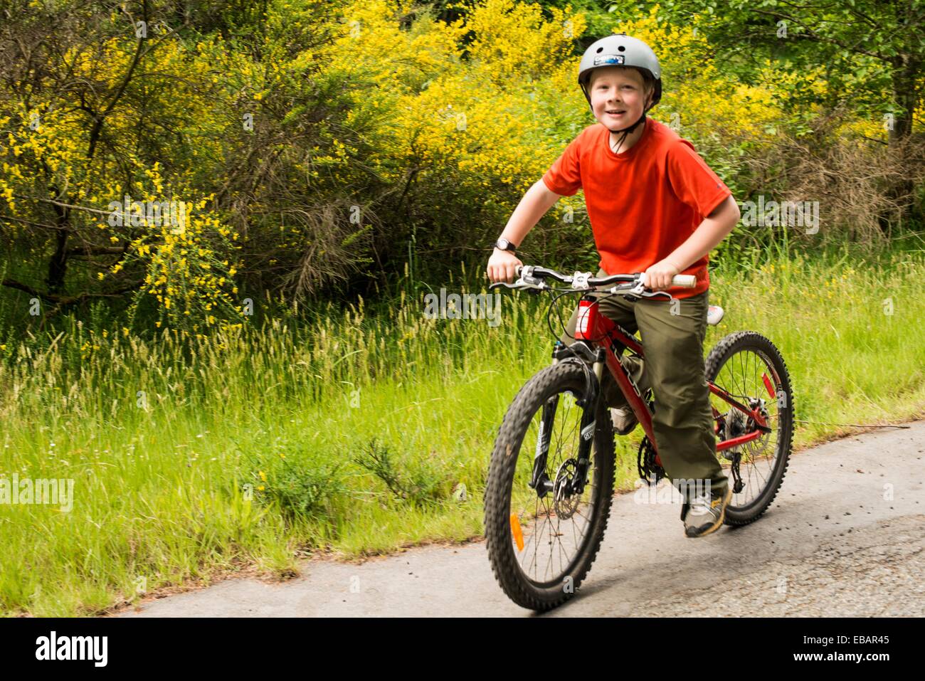 Cycle 10 years boy 2025