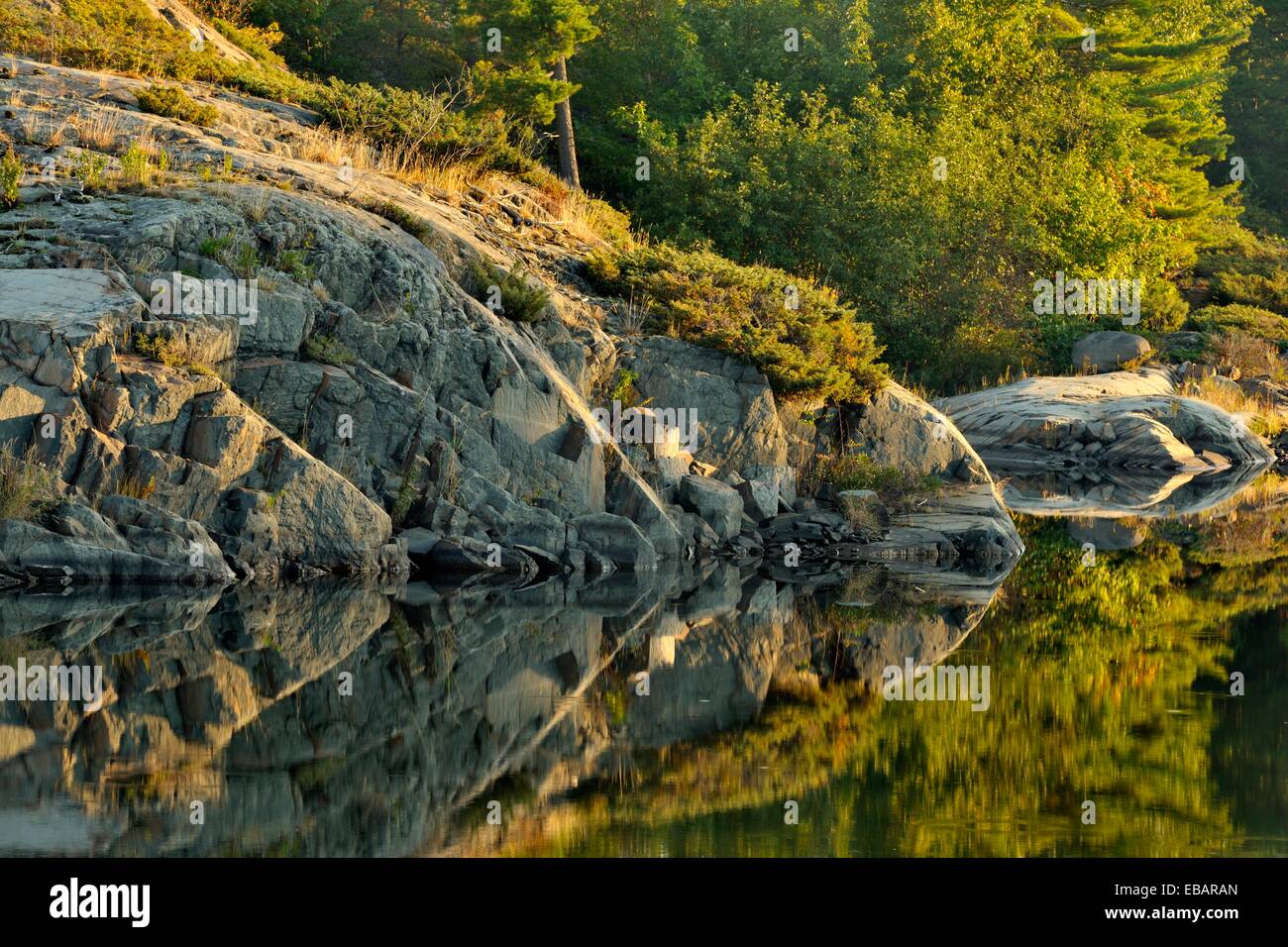 Reflections in MacGregor Bay at dawn Whitefish Falls Ontario Canada