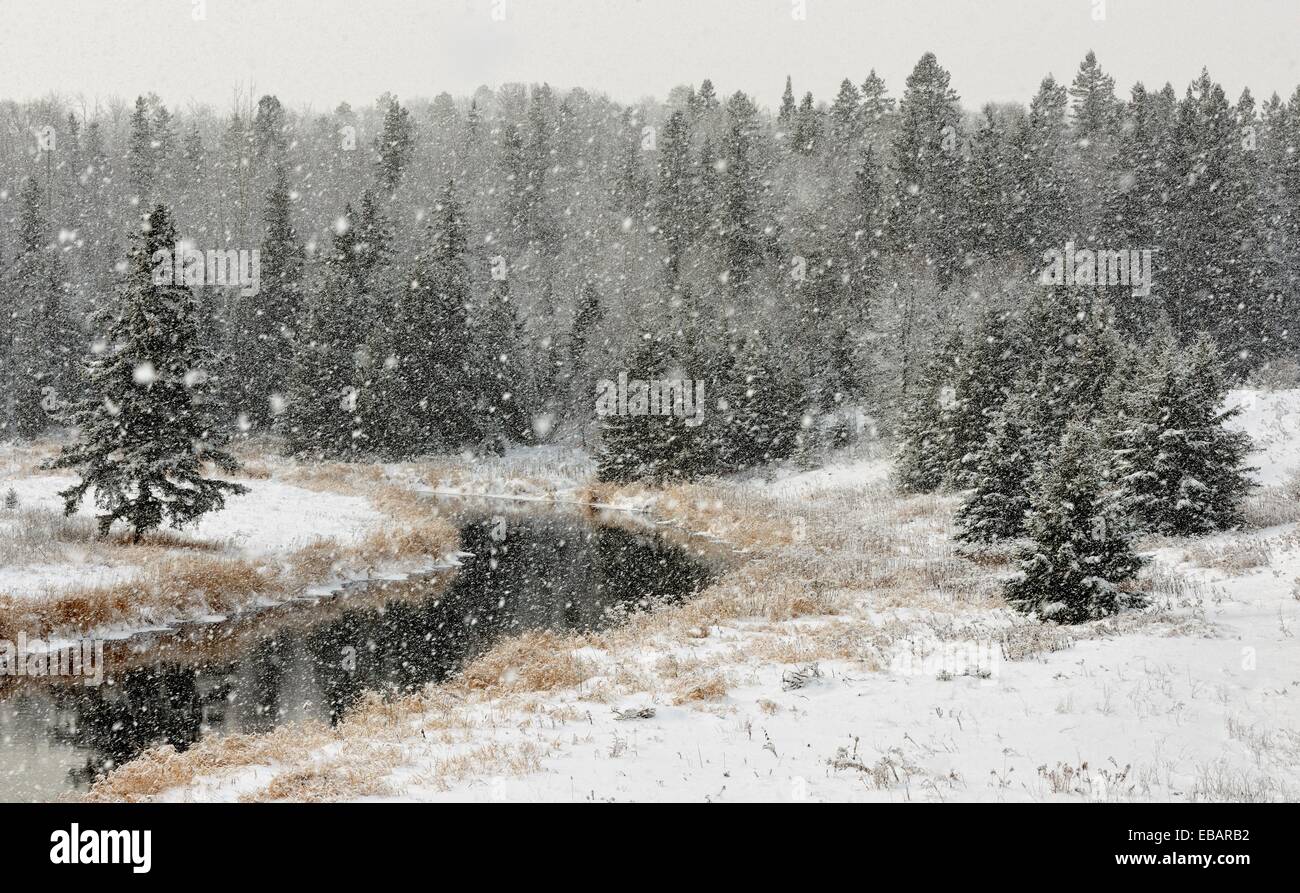 Junction Creek in early winter snowfall Greater Sudbury (Lively