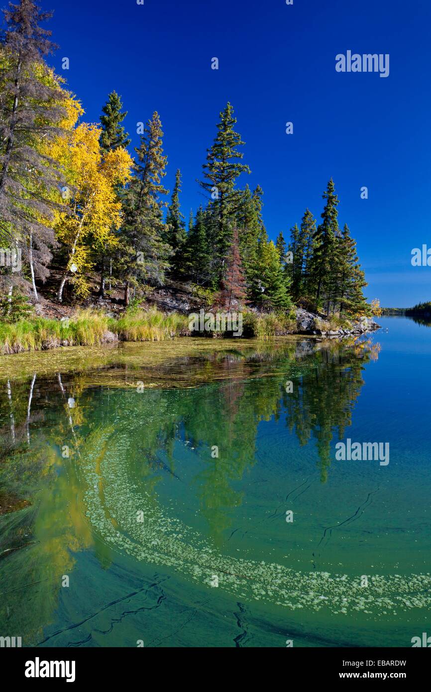 A northern Manitoba landscape of fall foliage color and reflections in