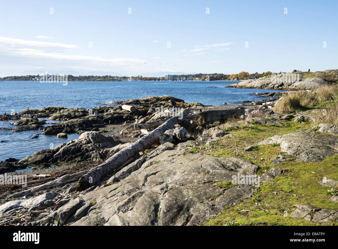 Willows Beach on Oak Bay, Victoria, BC, Canada Stock Photo Alamy