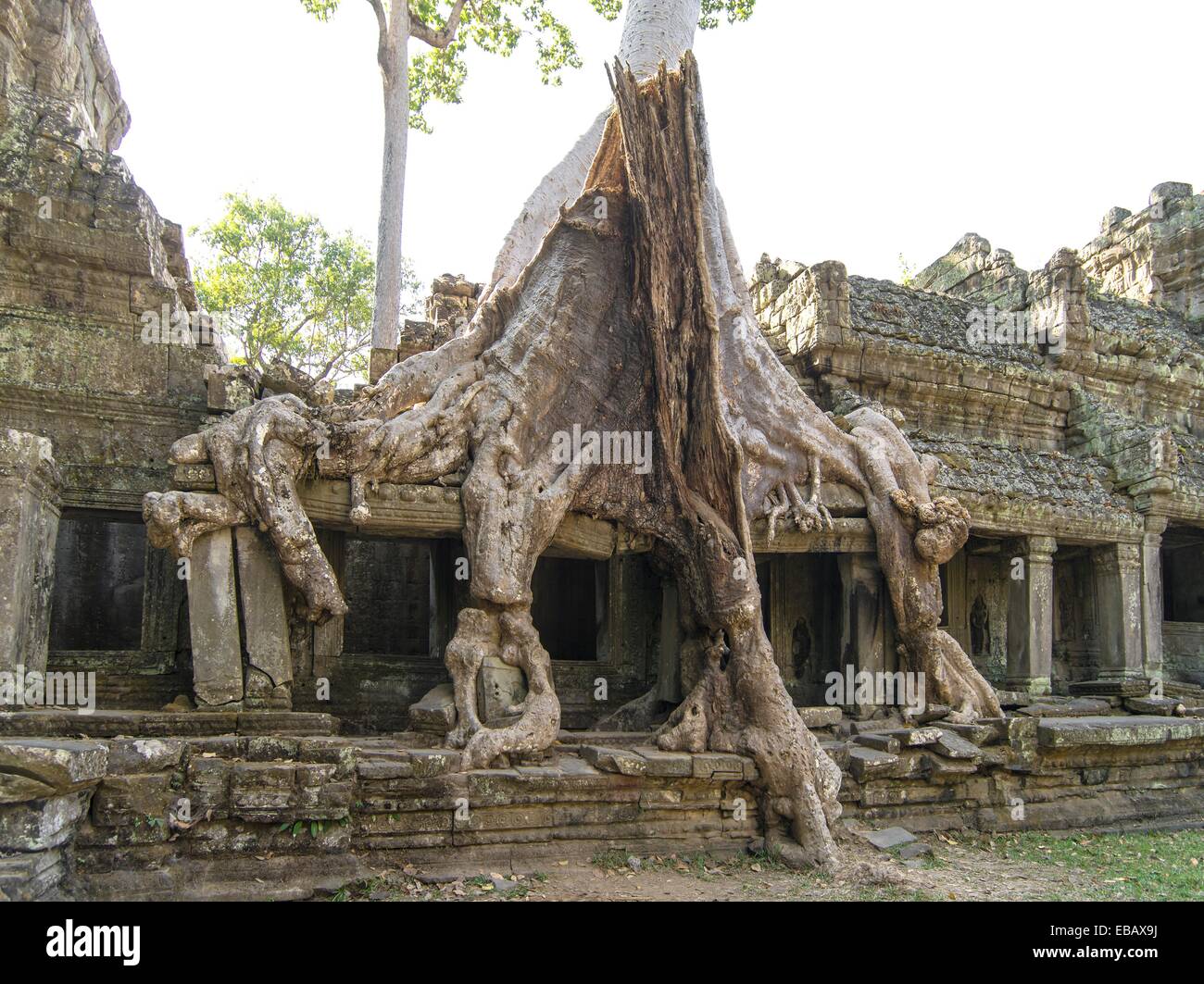 100 12th century addition almost Angkor Angkor Thom archaeology around Asia associated baray basic been Buddhism build Cambodia Stock Photo