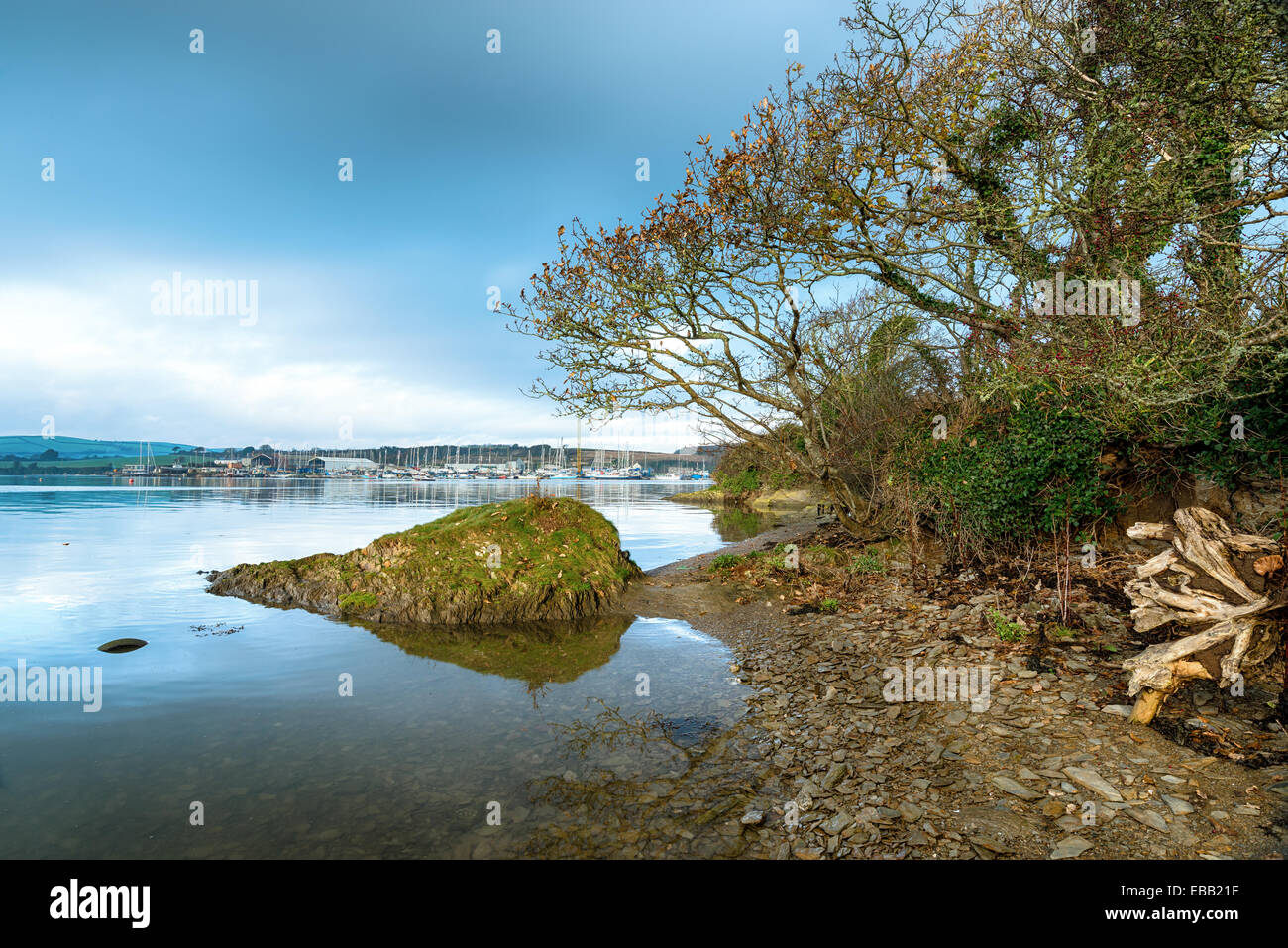 The river Tamar at Mount Edgcumbe in Cornwall Stock Photo