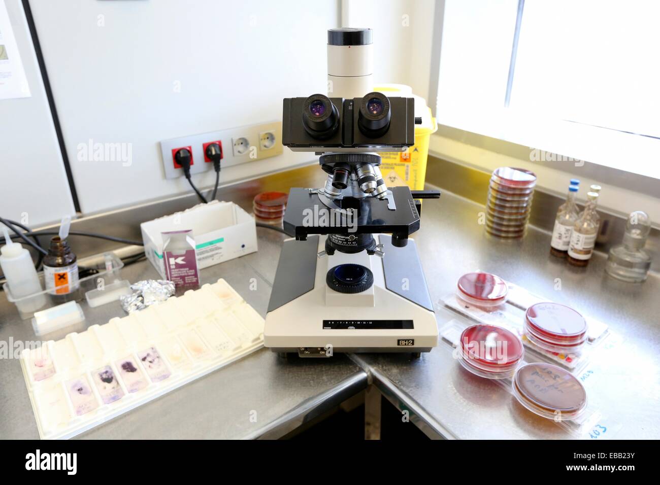 analysis analytic api bacteria based Basque Country between biochemical
