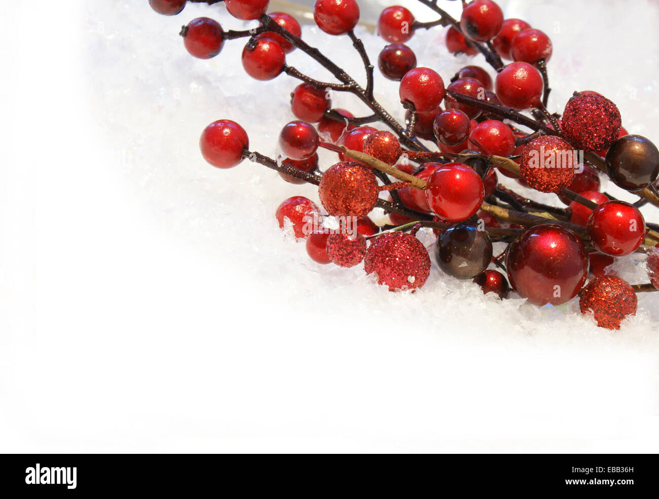 Christmas berries nestled in snow Stock Photo - Alamy